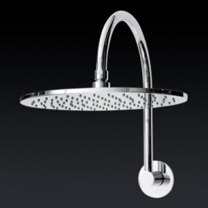Fontana Round Gooseneck Shower