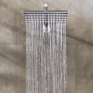 Vola 050 Wall Shower